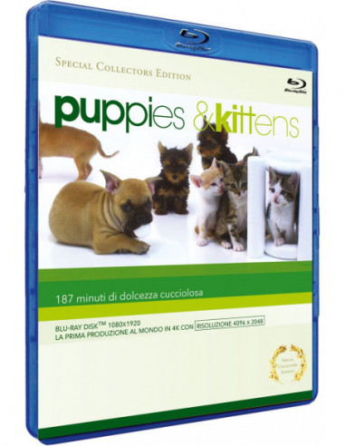 Puppies & Kittens (Special Collector's Edition) (Blu-Ray)