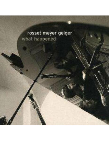 Rosset, Meyer, Geiger - What Happened