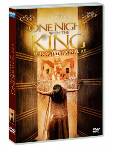 One Night With The King