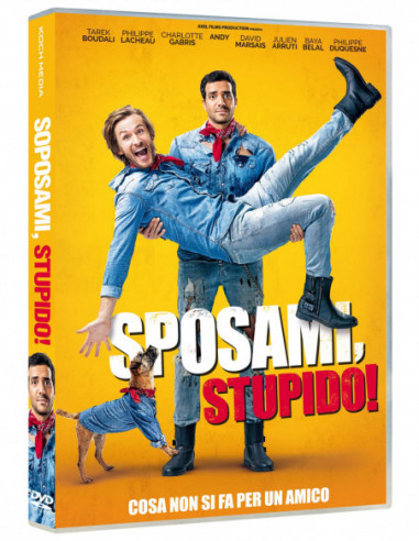 Sposami, Stupido!