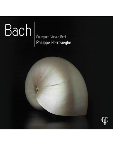 Herreweghe Philippe - Bach - (CD)