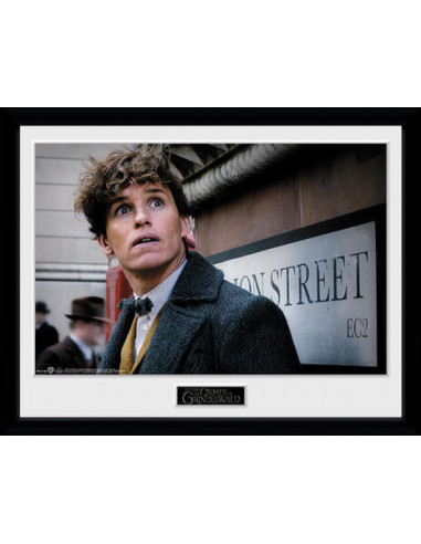 Fantastic Beasts 2: Newt Scamander (Stampa In Cornice 30x40cm)