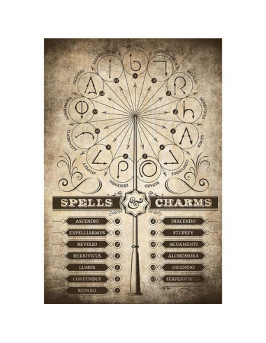 Harry Potter: Spells & Charms (Maxi Poster 61x91,50 Cm)