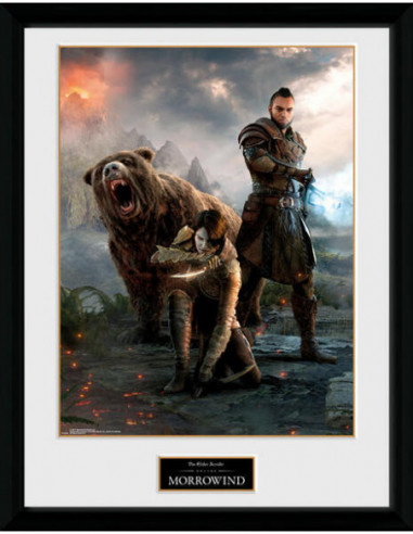 Elder Scrolls Online Morrowind: Trio (Stampa In Cornice 30x40cm)