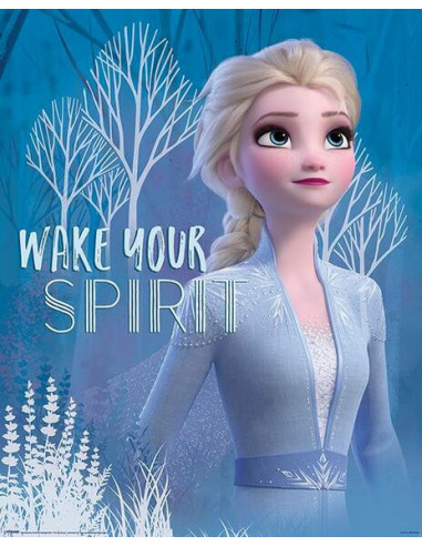 Disney: Pyramid - Frozen 2 - Wake Your Spirit Elsa (Poster Mini 40x50 Cm)