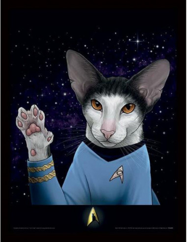 Star Trek: Cats (Spock Paw) Memorabillia Range (Poster In Cornice 30x40)