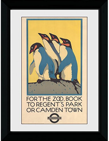 Transport For London: Zoo (30Mm Black) (Stampa In Cornice 50x70 Cm)