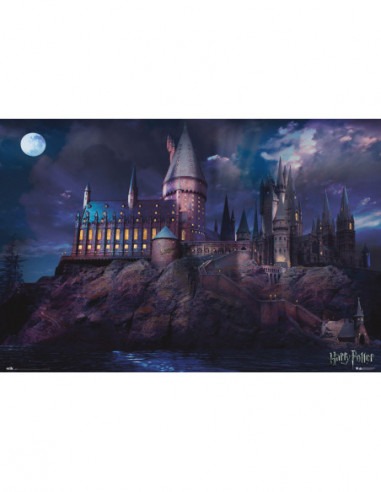 Harry Potter: Hogwarts (Maxi Poster 61x91,50 Cm)