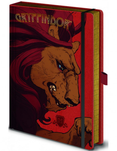 Harry Potter: Intricate Houses Gryffindor A5 Premium Notebook (Quaderno)