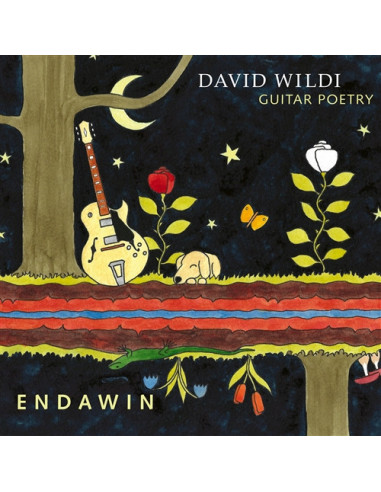 Wildi David - Endawin - (CD)