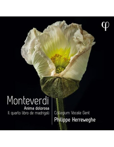 Claudio Monteverdi - Monteverdi Il Quarto Libro De Madrigali - (CD)