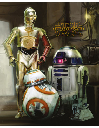 Star Wars: Pyramid - Episode VII - Droids (Poster Mini 40x50 Cm)