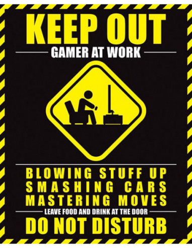 Pyramid: Gamer At Work (Poster Mini 40x50 Cm)