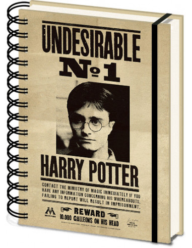 Harry Potter: Sirius and Harry 3D Cover A5 Wiro Notebook (Quaderno)