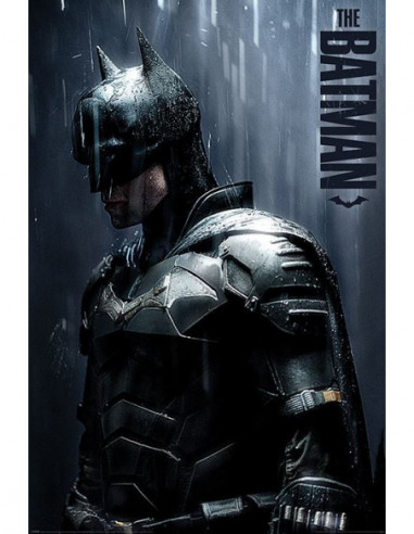 Dc Comics: Pyramid - The Batman - Downpour (Maxi Poster)