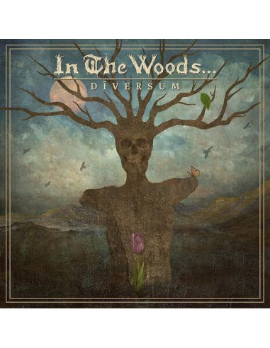 In The Woods... - Diversum - (CD)