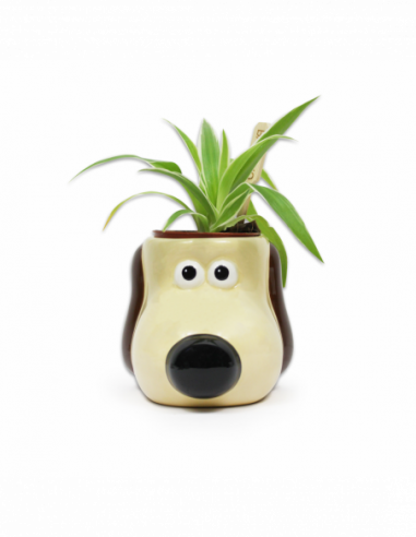 Wallace & Gromit: Half Moon Bay - Gromit (Plant Pot / Vaso Da Fiori)