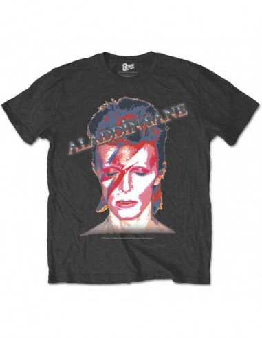 David Bowie: Men's Tee: Aladdin Sane (Large)