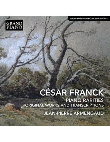 Armengaud Jean Pierre Pf - Piano Rarities - (CD)