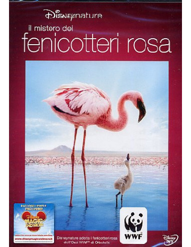 Mistero Dei Fenicotteri Rosa (Il)