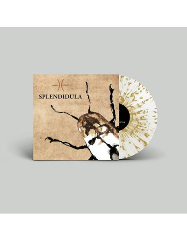 Splendidula - Splendidula (Colored 180Gr)