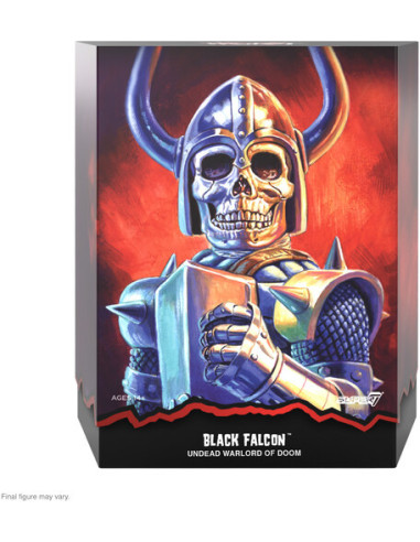 Worst: Super7 - Ultimates! Wave 2 - Black Falcon