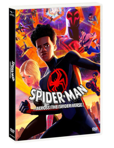 Spider-Man: Across The Spider-Verse (Dvd-Card)