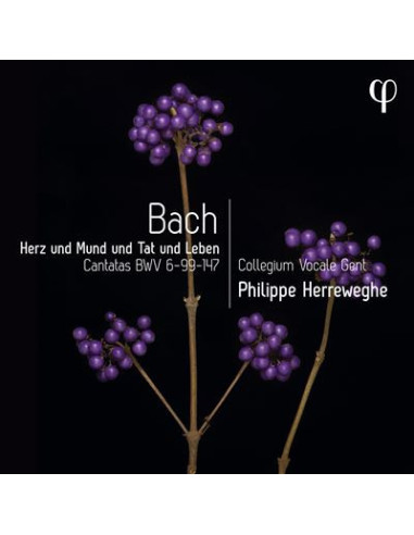 Herrewege Philippe - Herz Und Mund Und Tat Und Leben - (CD)