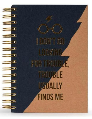 Harry Potter: Trouble Usually Finds Me Premium A5 Notebook (Quaderno)