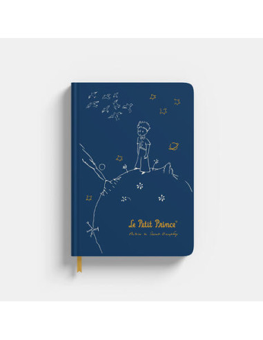 Little Prince (The) (Quaderno Premium A5)