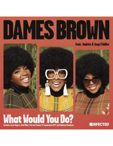 Brown Dames( Feat. Andres and Amp Fiddler) - What Would You Do? Remixes (12p)