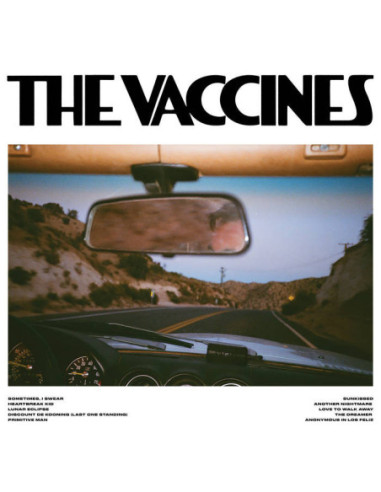 Vaccines - Pick-Up Full Of Pink Carnations (Baby Pi