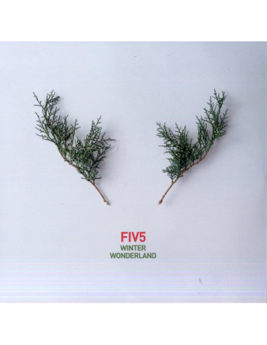 Fiv5 - Winter Wonderland (Ltd.Ed. Lp)