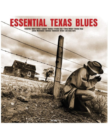 Various - Essential Texas Blues