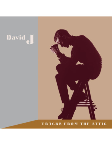 David J - Tracks From The Attic - (CD)