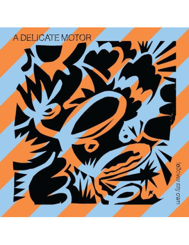 A Delicate Motor - Fellover My Own