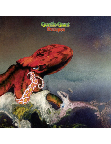 Gentle Giant - Octopus sp