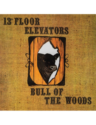 13Th Floor Elevators - Bull Of The Woods (Half Speed Remaster)