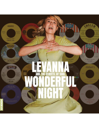 Compilation - Wonderful Night Curated By Levanna - (CD)