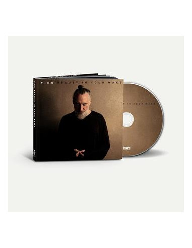 Fink - Beauty In Your Wake (Deluxe Edition) - (CD)