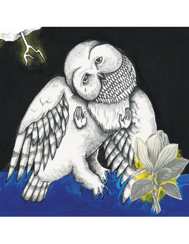 Songs: Ohia - Magnolia Electric Co. (Deluxe Reissue)