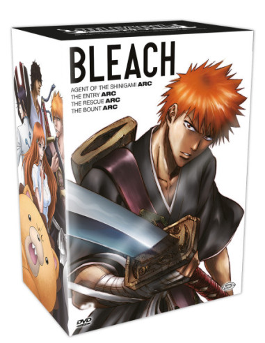 Bleach Box 1 (Arc 1-4) (13 Dvd)