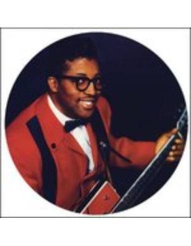 Diddley Bo - I M A Man - Live 84