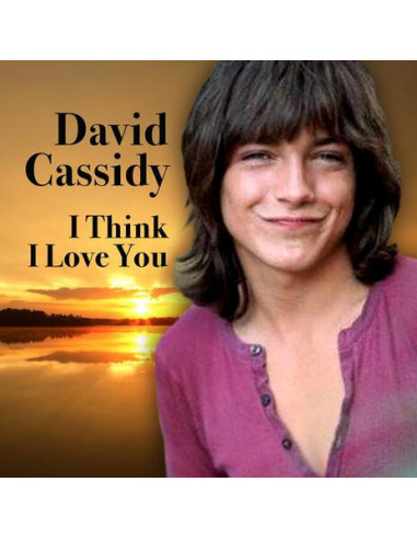 Cassidy David - I Think I Love You