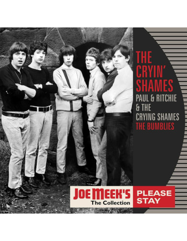 Cryin' Shames The, Paul and Ritchie and The Crying Shames - Please Stay