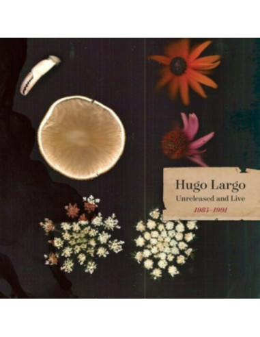 Hugo Largo - Huge, Large And Electric: Hugo Largo 1984-1991 - (CD)