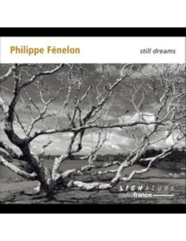 Philippe Fenelon, Qu - Philippe Fenelon: Still Dreams - (CD)