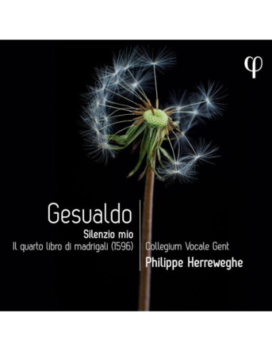 Carlo Gesualdo, Coll - Gesualdo: Silenzio Mio. Il Quarto Libro - (CD)