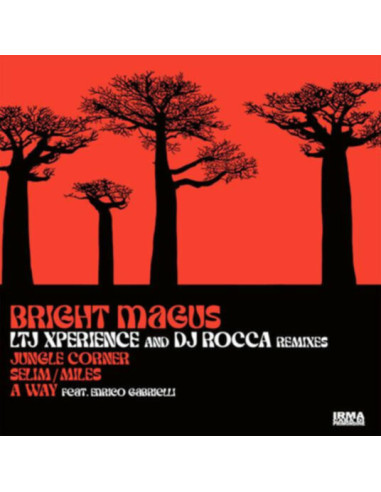 Bright Magus( Ltj Xperience and Dj Rocca Rmx) - Jungle Corner, Selim Miles - A Way (12p)