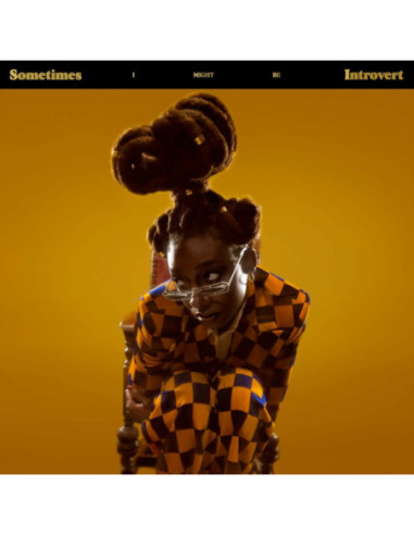 Little Simz - Sometimes I Might Be Introvert